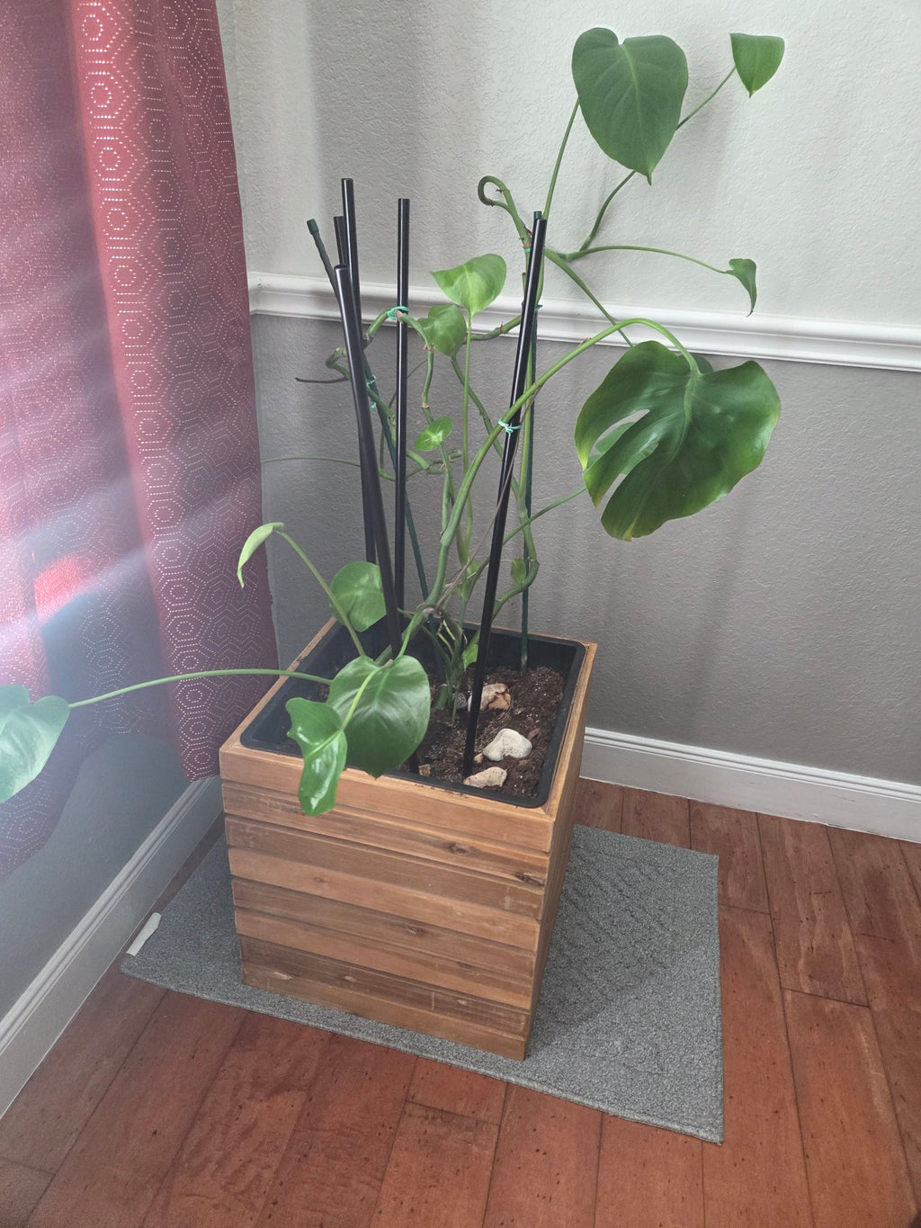 Slatted wood indoor planter box with a monstera plant